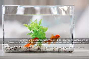 HOW TO Transport Live Fish Easily And Safely 2023 - Ozpolish